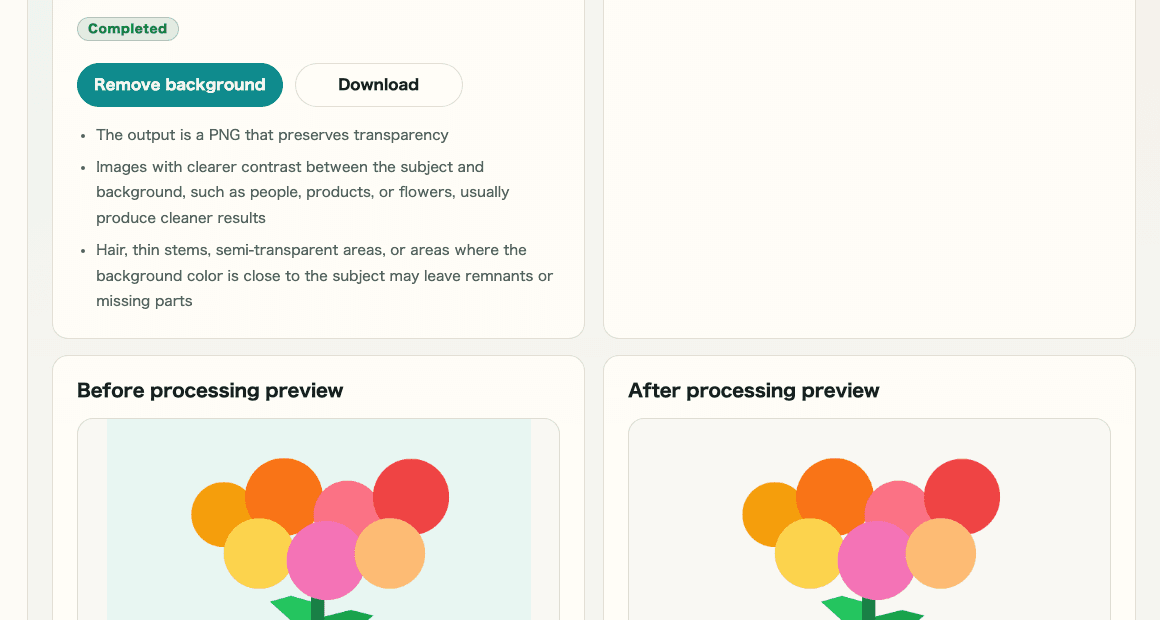 A cropped image of the settings area and input information in Image Background Removal showing the file selection and input information positions