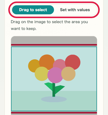 A cropped mobile view showing the crop area controls in Image Crop & Resize