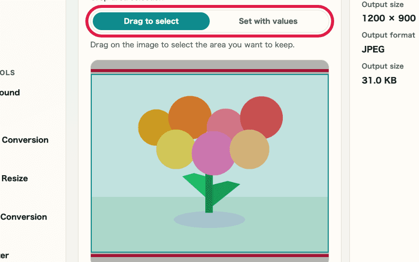A cropped view showing the crop area controls in Image Crop & Resize