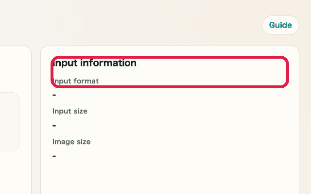 A cropped view showing only the input information in Image Format Conversion