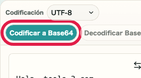 Vista móvil recortada del botón Codificar a Base64