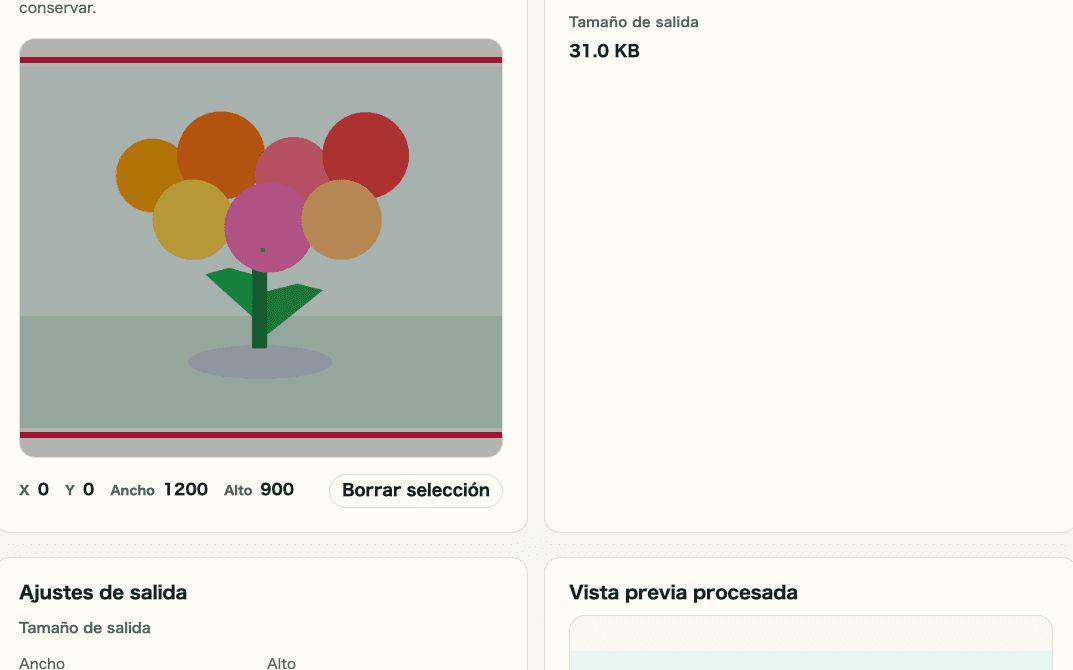 Captura recortada de la vista previa procesada en Recorte y cambio de tamaño de imagen mostrando dónde revisar el resultado antes de guardar
