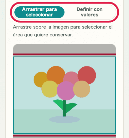 Vista móvil recortada que muestra los controles del área de recorte en Recorte y cambio de tamaño de imagen