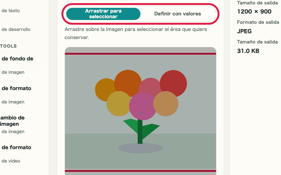 Vista recortada que muestra los controles del área de recorte en Recorte y cambio de tamaño de imagen