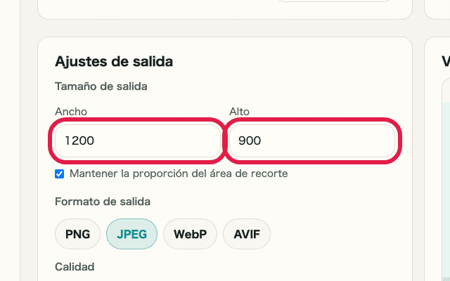 Vista recortada que muestra los campos de tamaño de salida en Recorte y cambio de tamaño de imagen