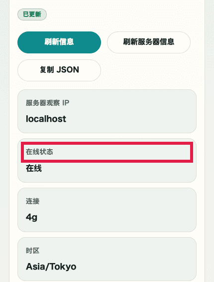 显示 IP 与网络信息确认中连接详情折叠区域的移动端裁剪截图