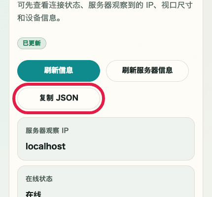 显示 IP 与网络信息确认中 JSON 复制按钮的移动端裁剪截图