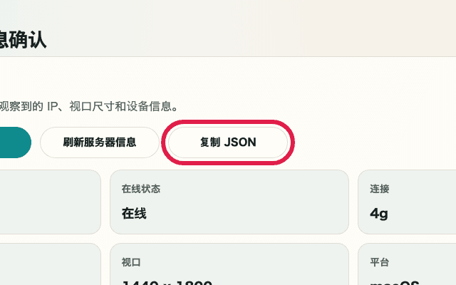 显示 IP 与网络信息确认中 JSON 复制按钮的裁剪截图
