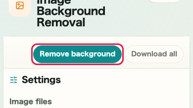 Image Background Removal: Remove background