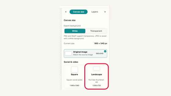 Canvas size: controls and surrounding interface