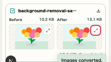 Image Format Conversion: Individual download