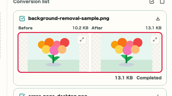 Image Format Conversion: Result card