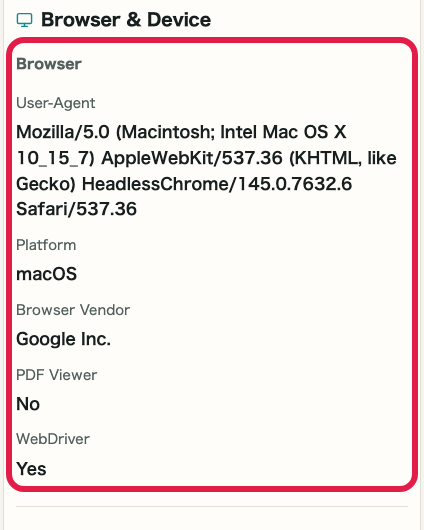 Screen showing where to review browser information in IP and Network Information Checker