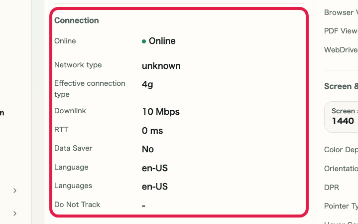 Screen showing where to review connection information in IP and Network Information Checker