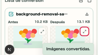 Conversión de formato de imagen: Descarga individual