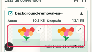 Conversión de formato de imagen: Tarjeta de resultado